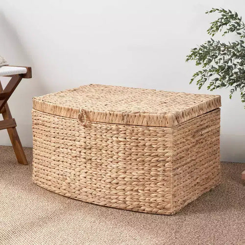 26"x19"x14" Ludmilla Malle rectangulaire en jacinthe d'eau tressée marron naturel : Coffre de rangement, Cadre en fer